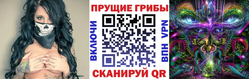 Галлюциногенные грибы Magic Shrooms  Купить закладки  Брюховецкая 